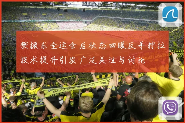 樊振东全运会后状态回暖反手拧拉技术提升引发广泛关注与讨论